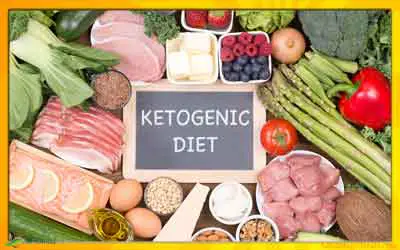 What is the Ketogenic Diet article